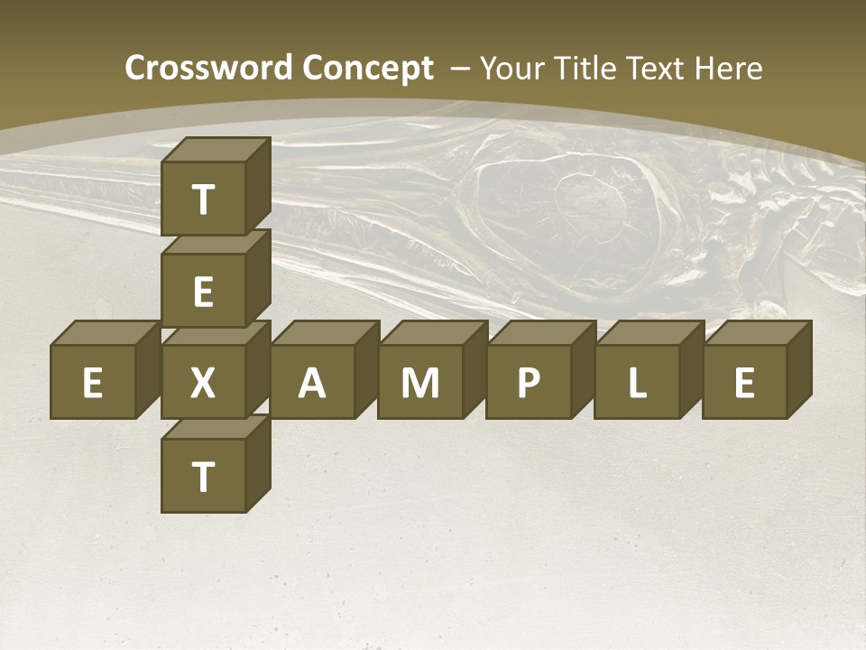 A Large Bird With A Long Beak Is Shown In This Presentation PowerPoint Template