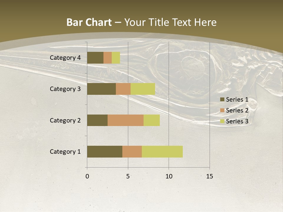 A Large Bird With A Long Beak Is Shown In This Presentation PowerPoint Template