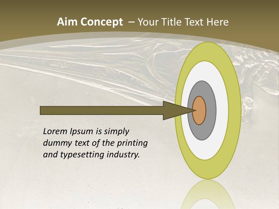 A Large Bird With A Long Beak Is Shown In This Presentation PowerPoint Template