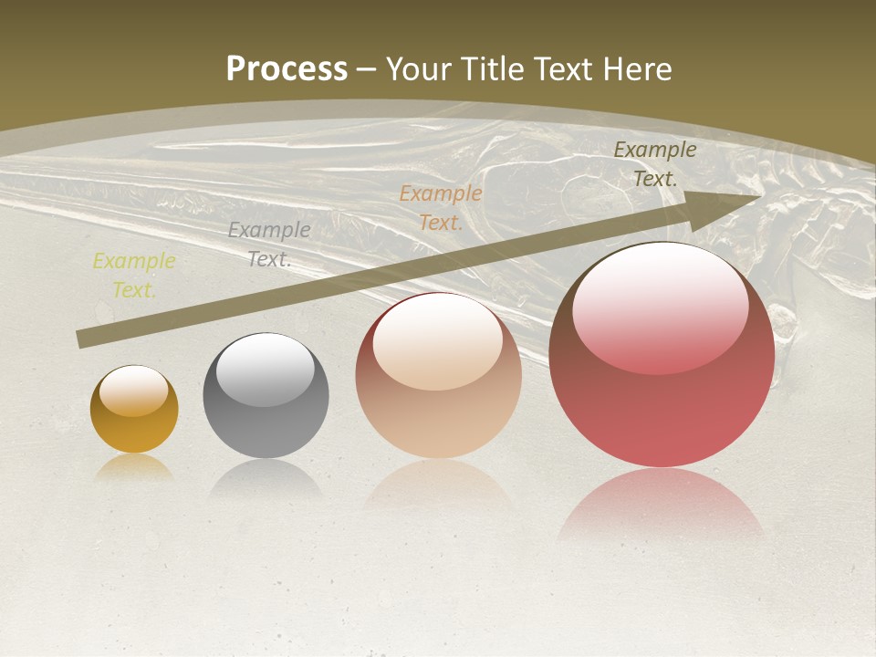 A Large Bird With A Long Beak Is Shown In This Presentation PowerPoint Template