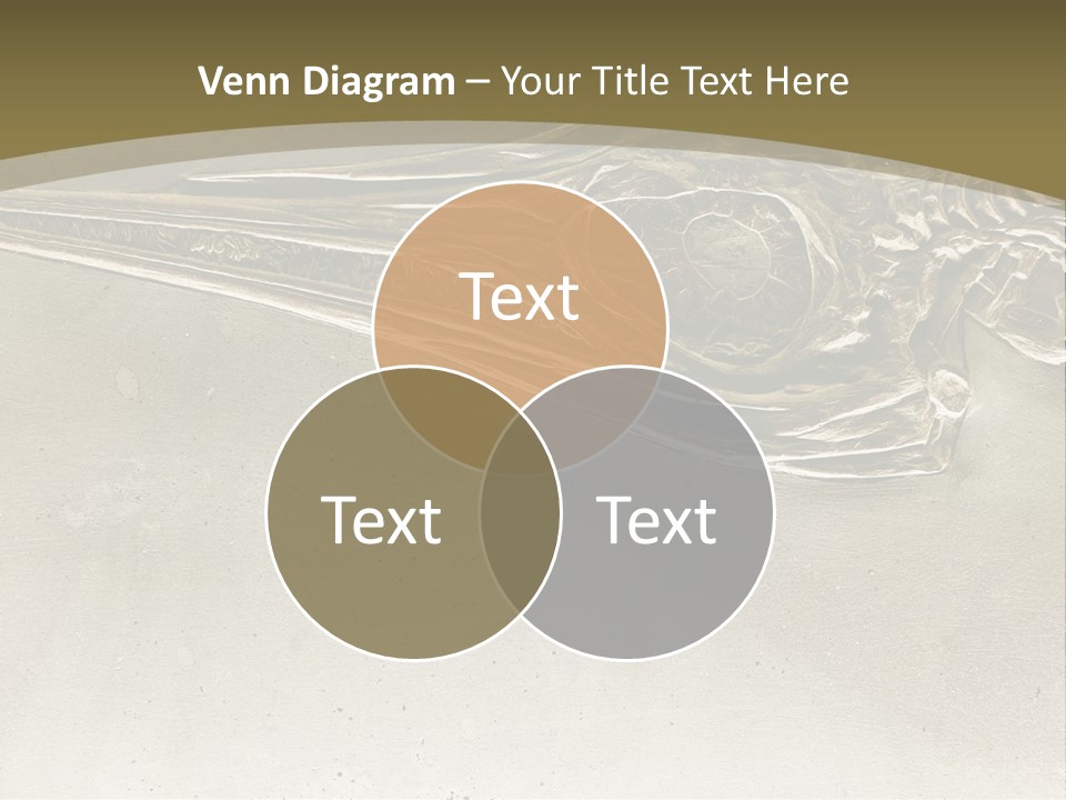 A Large Bird With A Long Beak Is Shown In This Presentation PowerPoint Template