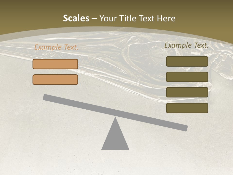 A Large Bird With A Long Beak Is Shown In This Presentation PowerPoint Template