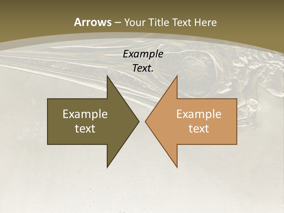 A Large Bird With A Long Beak Is Shown In This Presentation PowerPoint Template