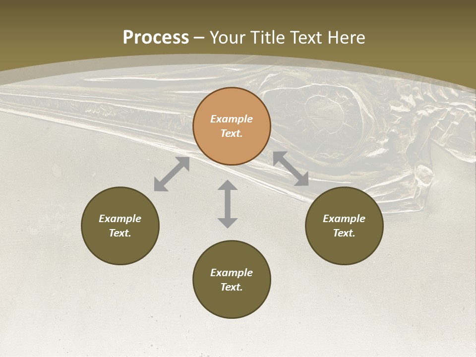 A Large Bird With A Long Beak Is Shown In This Presentation PowerPoint Template