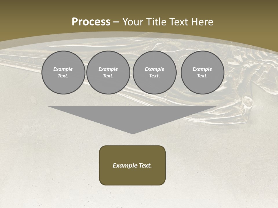 A Large Bird With A Long Beak Is Shown In This Presentation PowerPoint Template