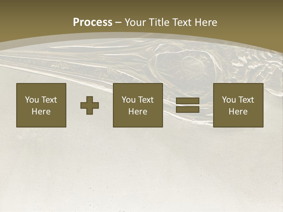 A Large Bird With A Long Beak Is Shown In This Presentation PowerPoint Template
