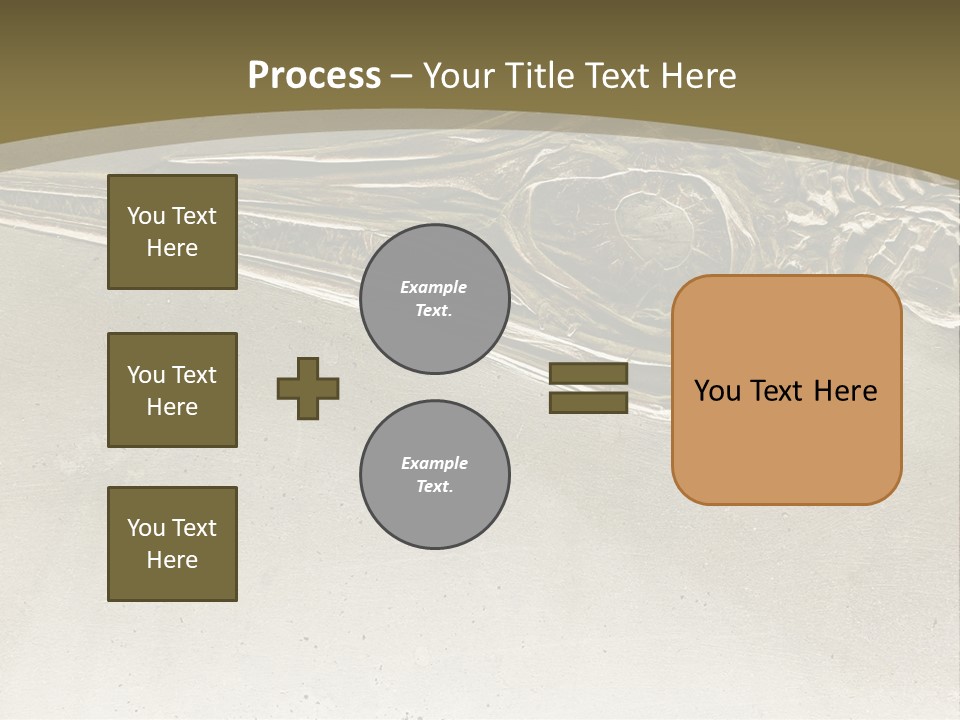 A Large Bird With A Long Beak Is Shown In This Presentation PowerPoint Template