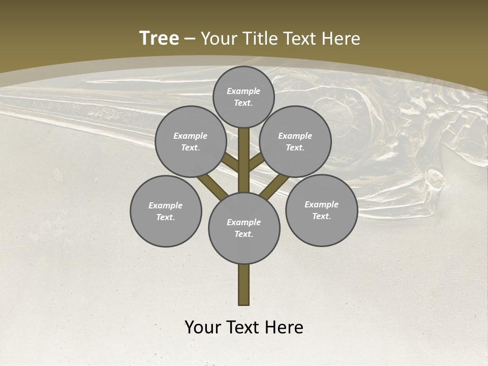 A Large Bird With A Long Beak Is Shown In This Presentation PowerPoint Template