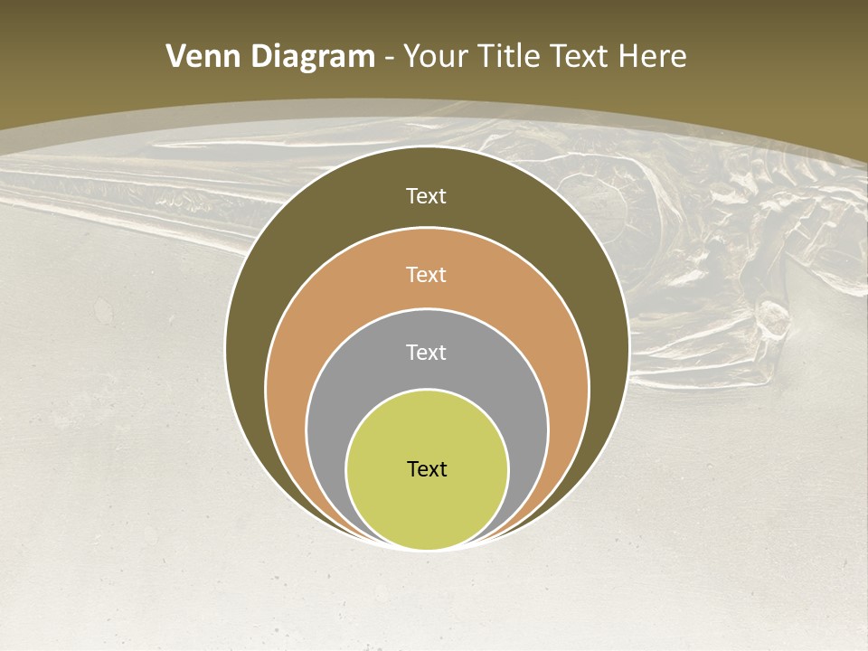 A Large Bird With A Long Beak Is Shown In This Presentation PowerPoint Template