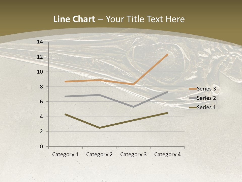 A Large Bird With A Long Beak Is Shown In This Presentation PowerPoint Template