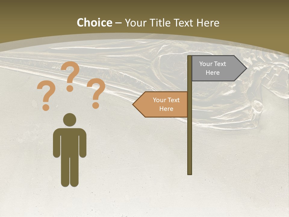 A Large Bird With A Long Beak Is Shown In This Presentation PowerPoint Template