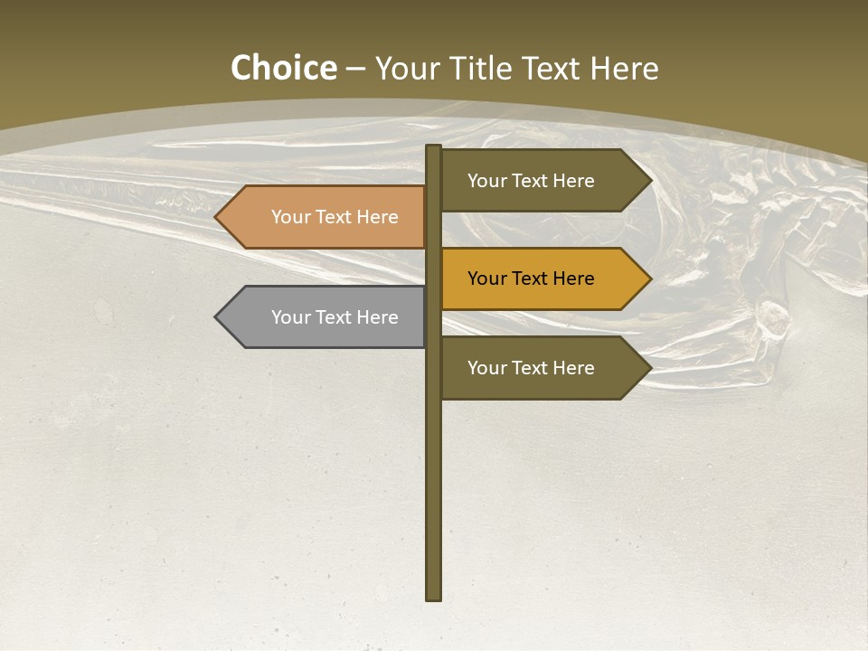 A Large Bird With A Long Beak Is Shown In This Presentation PowerPoint Template