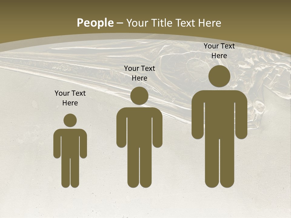 A Large Bird With A Long Beak Is Shown In This Presentation PowerPoint Template