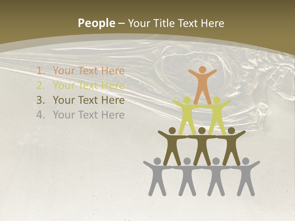 A Large Bird With A Long Beak Is Shown In This Presentation PowerPoint Template