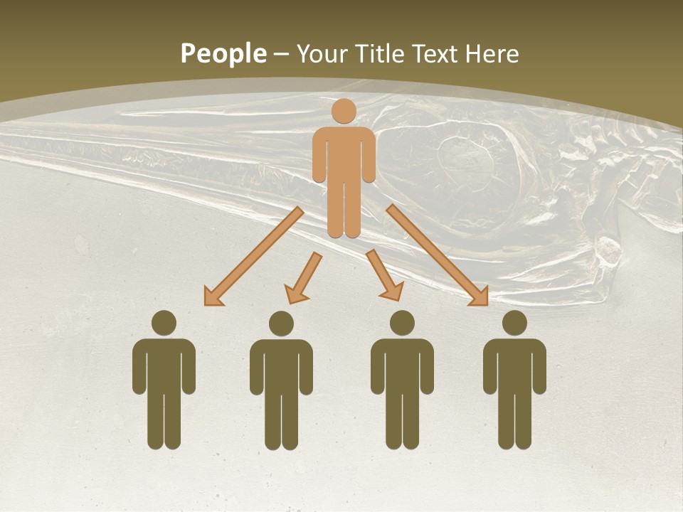 A Large Bird With A Long Beak Is Shown In This Presentation PowerPoint Template