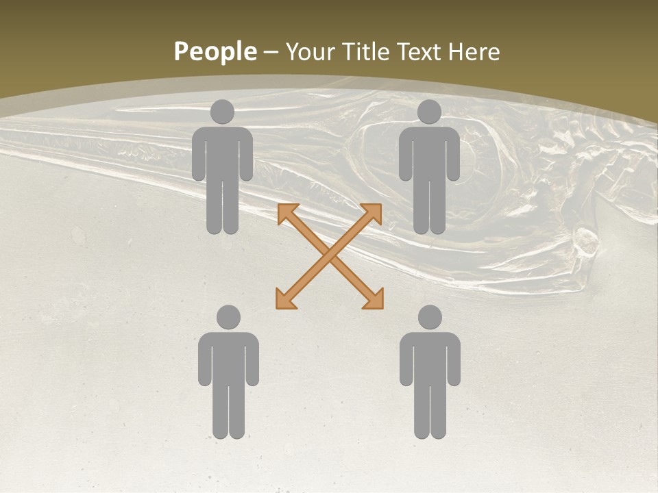 A Large Bird With A Long Beak Is Shown In This Presentation PowerPoint Template