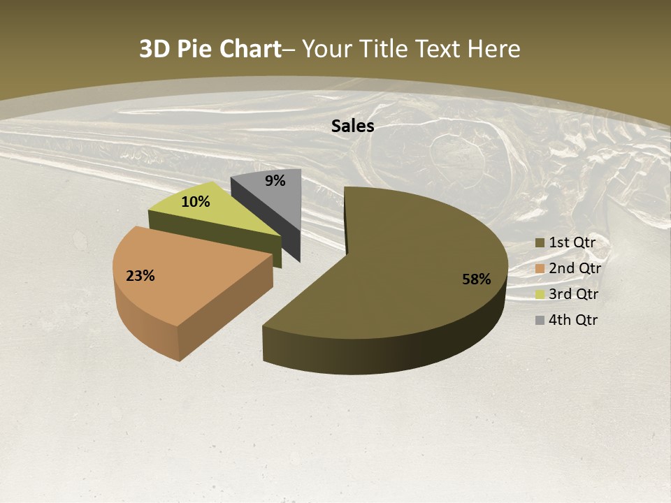 A Large Bird With A Long Beak Is Shown In This Presentation PowerPoint Template