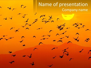 A Flock Of Birds Flying In The Sky At Sunset PowerPoint Template