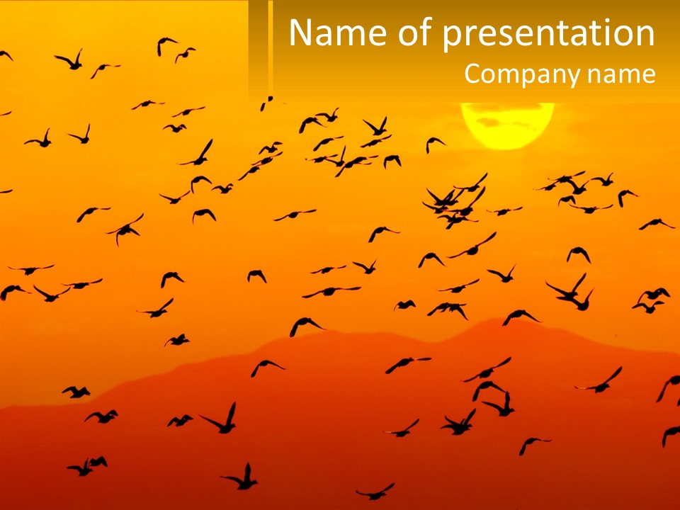 A Flock Of Birds Flying In The Sky At Sunset PowerPoint Template