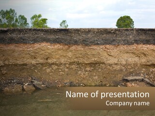 A Water Source With A Tree In The Background PowerPoint Template