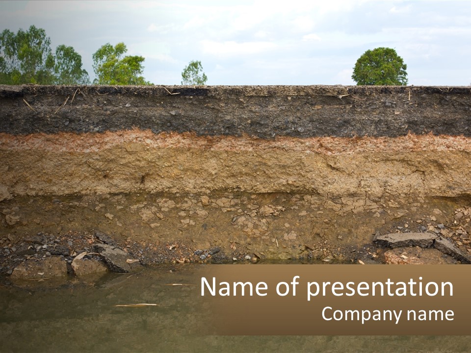A Water Source With A Tree In The Background PowerPoint Template