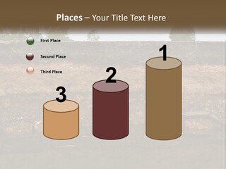 A Water Source With A Tree In The Background PowerPoint Template