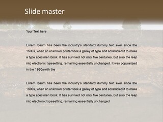 A Water Source With A Tree In The Background PowerPoint Template