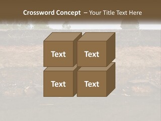 A Water Source With A Tree In The Background PowerPoint Template