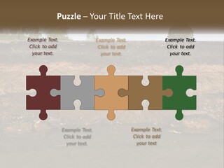 A Water Source With A Tree In The Background PowerPoint Template