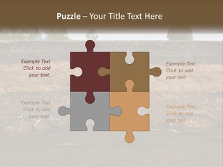 A Water Source With A Tree In The Background PowerPoint Template