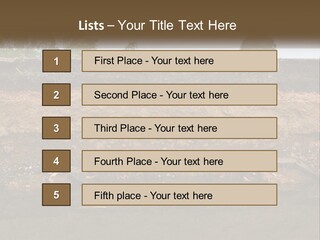 A Water Source With A Tree In The Background PowerPoint Template