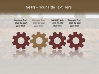 A Water Source With A Tree In The Background PowerPoint Template