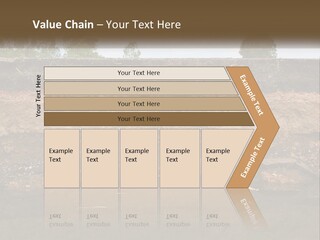 A Water Source With A Tree In The Background PowerPoint Template