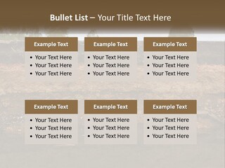 A Water Source With A Tree In The Background PowerPoint Template