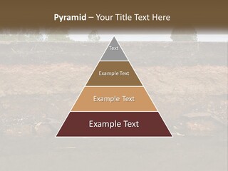 A Water Source With A Tree In The Background PowerPoint Template