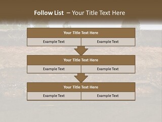A Water Source With A Tree In The Background PowerPoint Template