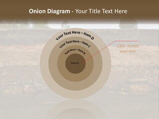 A Water Source With A Tree In The Background PowerPoint Template