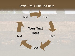 A Water Source With A Tree In The Background PowerPoint Template