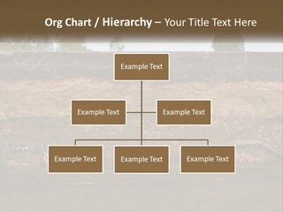 A Water Source With A Tree In The Background PowerPoint Template