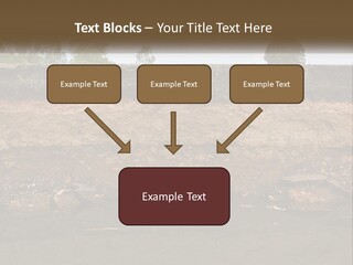A Water Source With A Tree In The Background PowerPoint Template