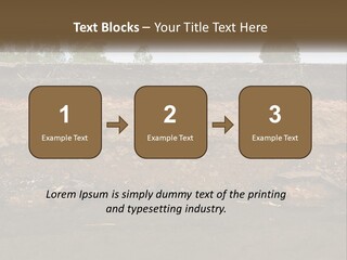 A Water Source With A Tree In The Background PowerPoint Template