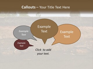 A Water Source With A Tree In The Background PowerPoint Template