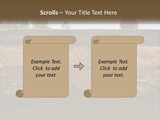 A Water Source With A Tree In The Background PowerPoint Template