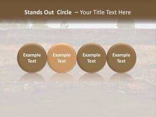 A Water Source With A Tree In The Background PowerPoint Template