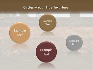 A Water Source With A Tree In The Background PowerPoint Template