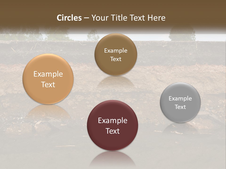 A Water Source With A Tree In The Background PowerPoint Template