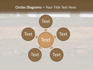 A Water Source With A Tree In The Background PowerPoint Template