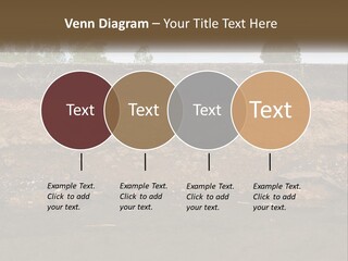 A Water Source With A Tree In The Background PowerPoint Template
