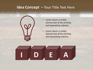 A Water Source With A Tree In The Background PowerPoint Template