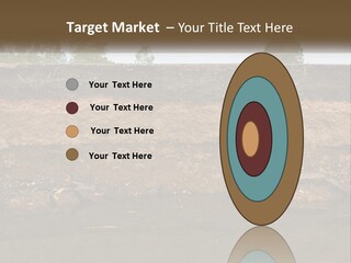 A Water Source With A Tree In The Background PowerPoint Template